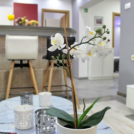 Apartment Marino มาคาร์สกา ภายนอก รูปภาพ